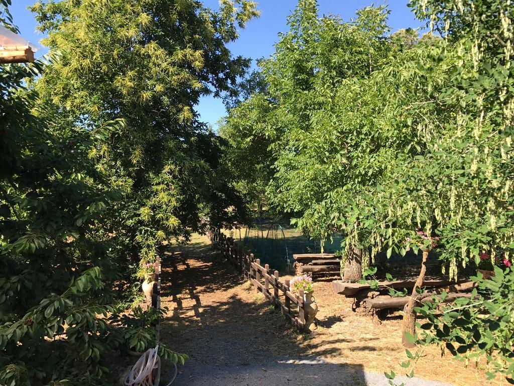 브론테 Casa Etna 빌라 외부 사진